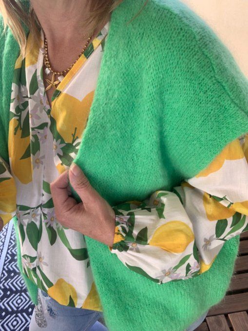 Gilet sans manches vert bresil